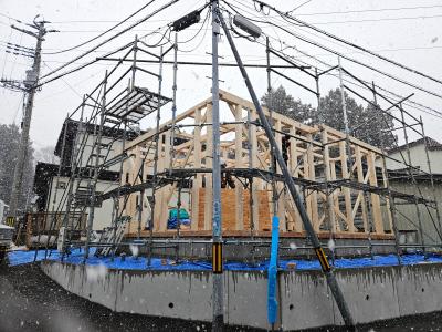 外観：棟上げ